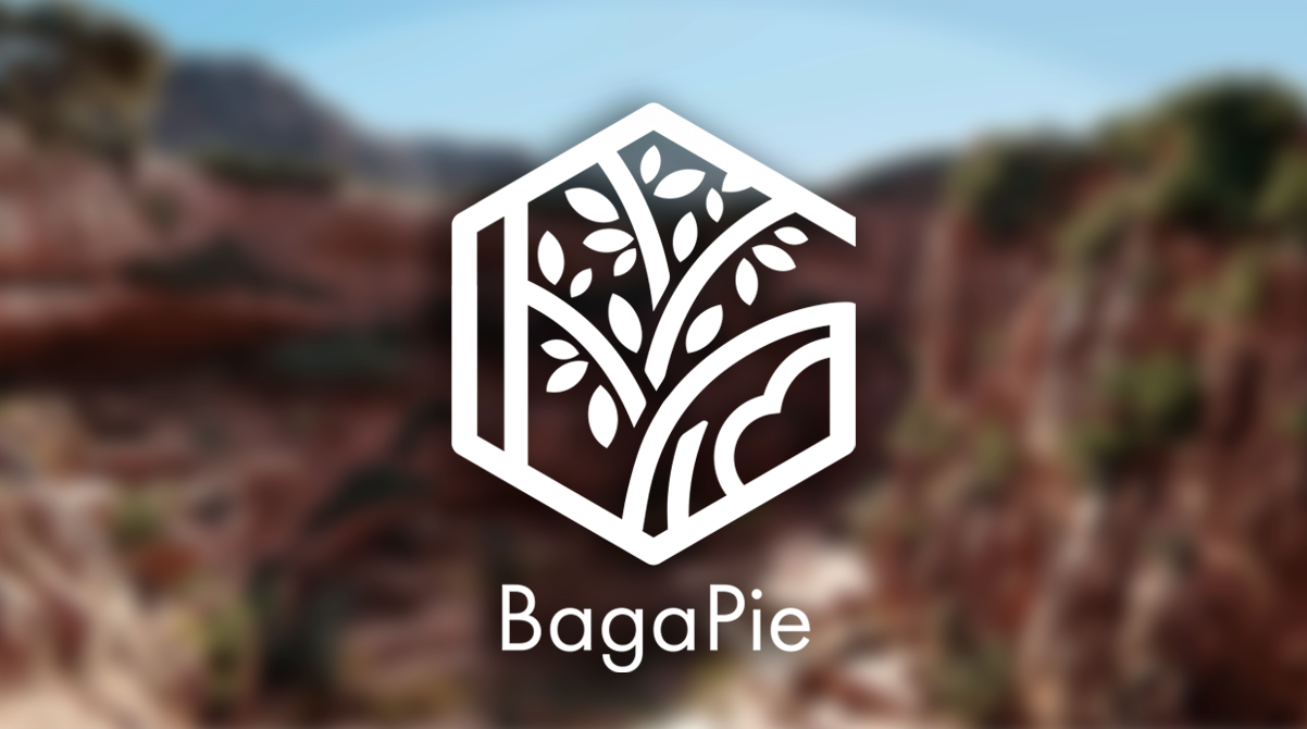 Baga Pie 10.4.24 fro Blender 植物石头插件预设包
